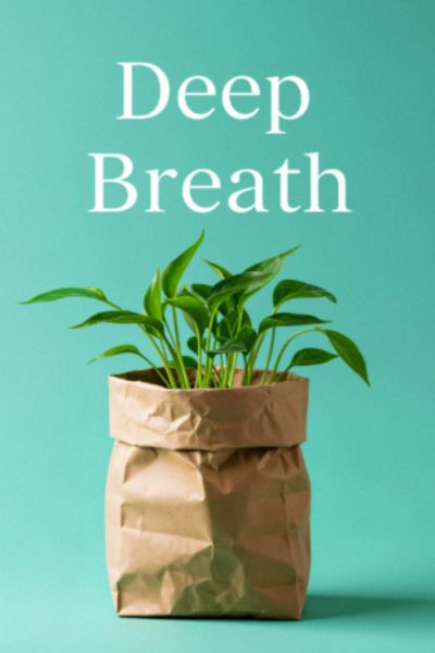 Creating healthier living environments